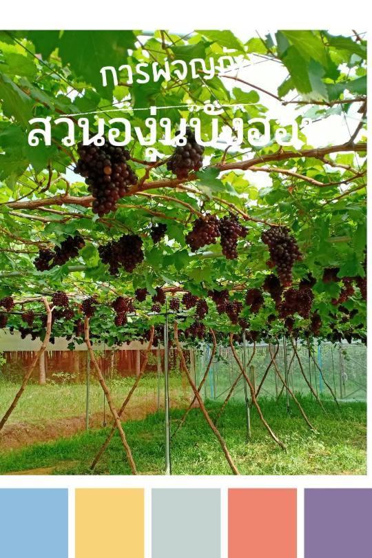 Baan Bang Hon Villa Ko Yao Noi Bagian luar foto