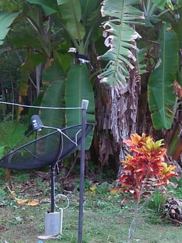 Baan Bang Hon Villa Ko Yao Noi Bagian luar foto